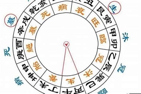 日主天干為水|八字論命的核心——日干（日元、日主）